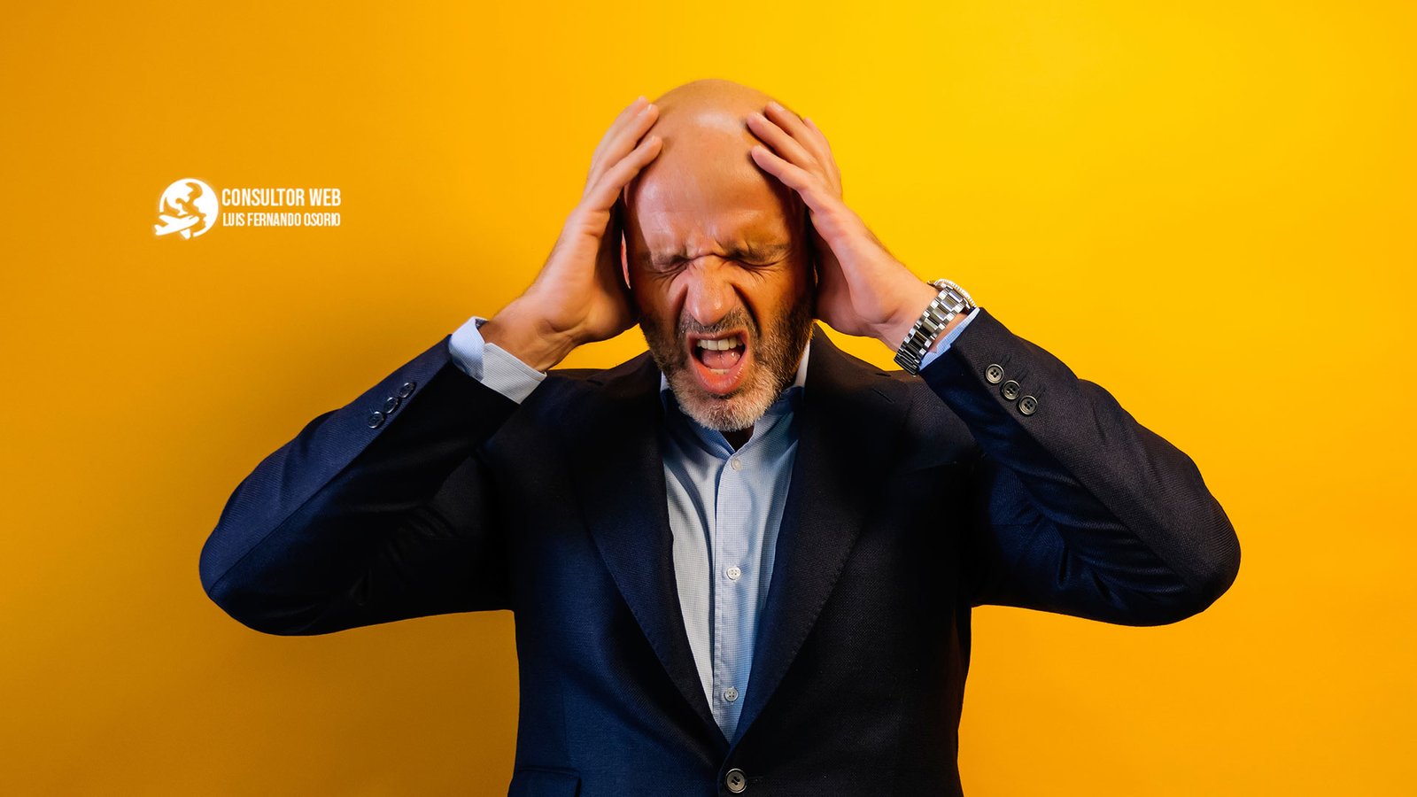 Ansiedad---Luis-Fernando-Osorio---Consultor-Web